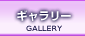 �K���X�G�b�`���O �M�������[