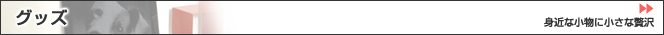 �O�b�Y-�g�߂ȏ������ґ�i�ɂ���G�b�`���O���i�̂��Љ�